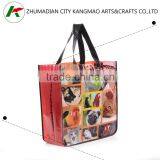 China Supplier PP Woven Bag Coca-Cola AUDIT thumbnail-1