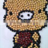 Organic Soya Beans( New Crop,Heilongjiang Origin) thumbnail-5