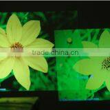 2016 Newest Competitive Price 150lumens 3d 1080p Support Entertainment Projector Video Projector 1080p 3d Projector UC30 thumbnail-6