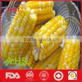 Frozen Organic Sweet Corn From China thumbnail-1
