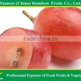 Export Delicious Sweet Fresh Red Globe Grape Red Globe Grape From China thumbnail-3