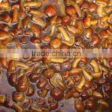 Salted Nameko Mushroom in Brine thumbnail-1