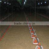 Automatic Feeding System