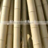 Natural bamboo poles