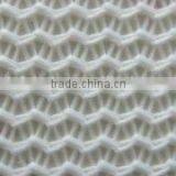 Hose of Mesh Fabric