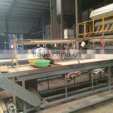 Peanut Kernal Sorting Line thumbnail-3