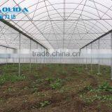 Factory Price BLD001 Plasctic Film Cover Greenhouse for Agricultural and Commercial Use thumbnail-4