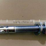 Wedge Anchor thumbnail-1