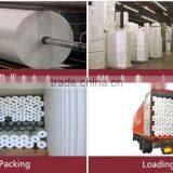 China High Quality Spunbond PP Nonwoven Fabric Roll thumbnail-2