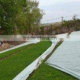 Kangda Widely Used Nonwoven Fabric for Agriculture, Medical and Packing thumbnail-3