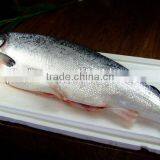 Super Premium Dog Food thumbnail-3