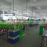 Fujian Quanzhou Zhenyue Arts & Crafts Co., Ltd. company overview - view 4 thumbnail