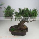 Miniascape,potted Evergreen Landscape,shapped Bonsai thumbnail-1