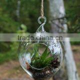 New Design With High Quality Wholesale Glass Globle Hanging Terrarium thumbnail-3