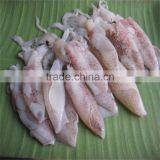 Frozen Baby Squid Loligo With Various Sizes thumbnail-1