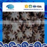 Superior Quality Frozen Baby Octopus Flower With Wholesale Price thumbnail-1