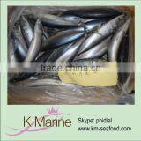 Best Selling 300-500g Sea Frozen Mackerel wr thumbnail-1