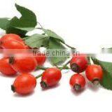 Roship Oil thumbnail-3