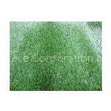 Straight and Curly Yarn Synthetic Artificial Landscaping Turf 20mm 11000Dtex