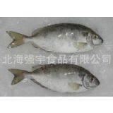 Frozen Rabbit Fish Whole Round thumbnail-1