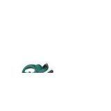 Electric Hedge Trimmer E85HC thumbnail-1