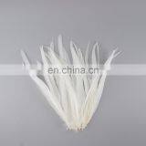 Wholesale factory price 30-40cm rooster tail feathers