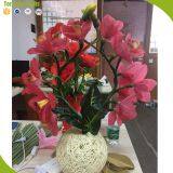 Real Touch Led Clothes Wedding Party 50pcs Led Artificial Lighting Flowers Decoration thumbnail-3