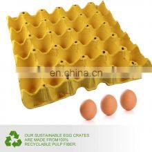 Biodegradable Molded Paper Waterproof Pulp Cardboard Egg Cartons Flats Egg Tray thumbnail-2