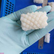 Squid Flower thumbnail-1