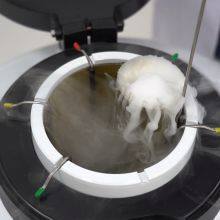 Czech Simmental Cattle_ 35L Semen Storage Dewar Tank thumbnail-4