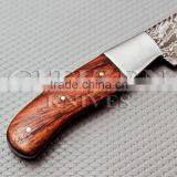 CITIZEN KNIVES, BEAUTIFUL CUSTOM HAND MADE DAMASCUS STEEL HUNTING KNIF thumbnail-5