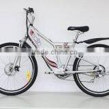 Electric Mountain Bike TDE02Z