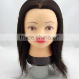 training mannequin head for beauty school