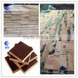 First grade 918*1830*10mm finger Joint Laminated Board for Thailand market