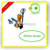 Hand Held Weighing Scale