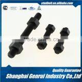 High Temperature Quality Ni Alloy ISO M30 Price Stud Bolt and Nut
