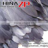 CHINAZP Factory Best Selling Cheap Trim Dyed Grey Goose Satinettes Trimming Feathers thumbnail-4