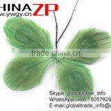 CHINAZP Bulk Sale Selected Prime Quality Colored Mint Green Trimmed Peacock Feathers Eyes for Sale thumbnail-4