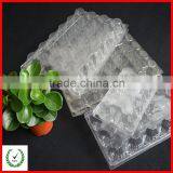 Plastic Custom-made Hot Sale Disposable Clear Blister Egg Tray thumbnail-5
