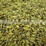 Rutin NF11 (USP 32 Standard)