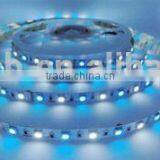High Lumen Lowest Price High Class 12V SMD dc 12v 5m/roll Led Strip Light Ip65 New Design Led Strip Rgb 5050