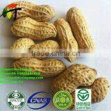 ROASTED PEANUT IN SHELL 9/11 NATURE FLAVOR thumbnail-2