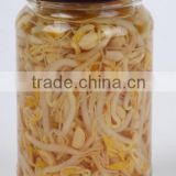 high quality canned bean sprouts in brine