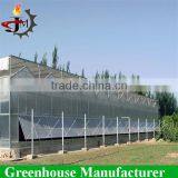 Large Scale Multi-span PC Sheet/board Greenhouse for Flower Plant thumbnail-3