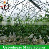 Portable Hobbie Greenhouse With Hydroponic Growing Systems thumbnail-3