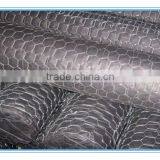 PVC Coated Hexagonal Wire Mesh/Plastic Coated Hexagonal Wire Mesh Made in China thumbnail-6