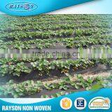 17~70g/m2 Biodegradable Weed Control PP Non Woven Weed Mat thumbnail-4