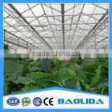 Galvanized Steel Pipes Greenhouse Structure For Sale thumbnail-2