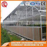Multifunction Plastic Film Greenhouse for Vegetables Planting,flowers,culture thumbnail-6