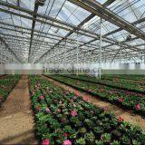 The Sunlight Greenhouse for Flowers thumbnail-2